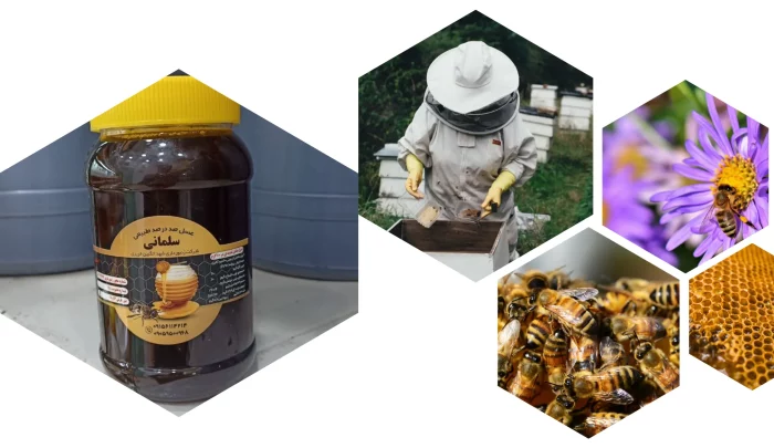 عسل سیاه دانه عسل سیاه دانه - Image 1