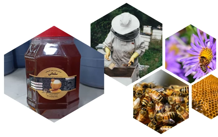 عسل عسل گون خالص - Image 1