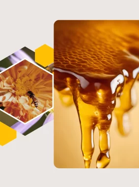 محصولات ارگانیک سلمانی