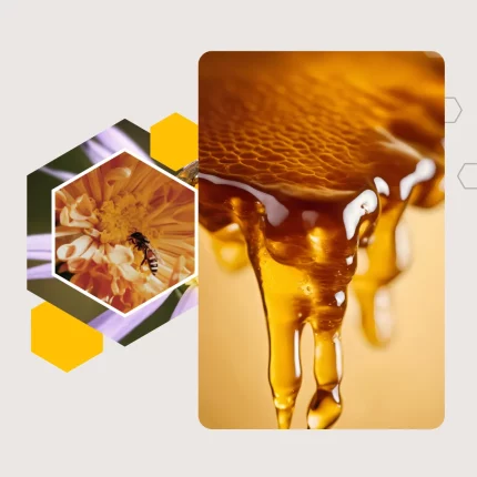 محصولات ارگانیک سلمانی